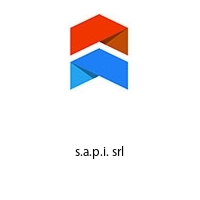 s.a.p.i. srl