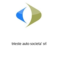 trieste auto societa' srl
