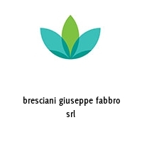 bresciani giuseppe fabbro srl
