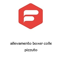 allevamento boxer colle pizzuto