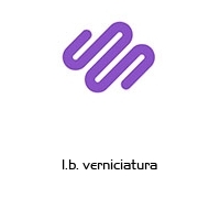l.b. verniciatura