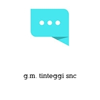 g.m. tinteggi snc