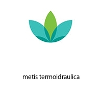 Logo metis termoidraulica