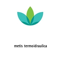 metis termoidraulica