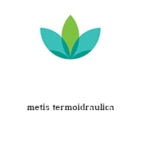 Logo metis termoidraulica