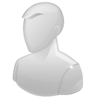 Logo Dinslave 