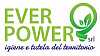 Ever Power srl 