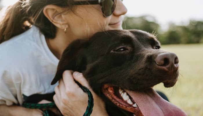 Polizza indennizzo per animali d'affezione