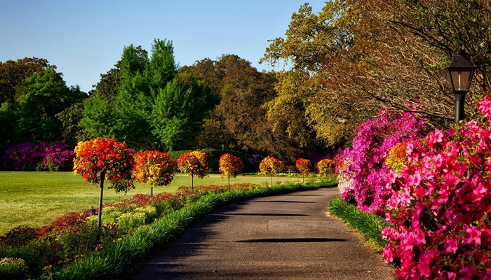 giardiniere realizzazione giardino