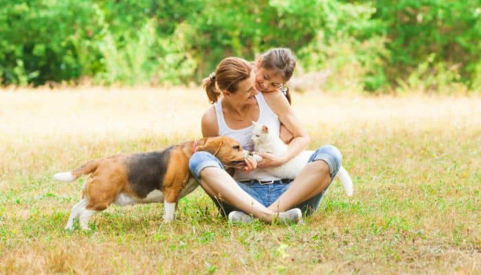 Normativa a tutela degli animali Dichiarazione universale dei diritti degli animali