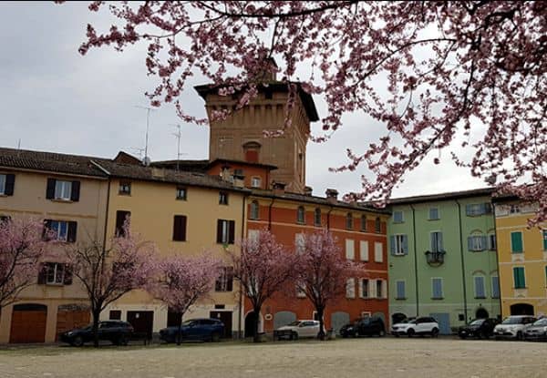 Cerco badante e assistenza anziani a Scandiano foto