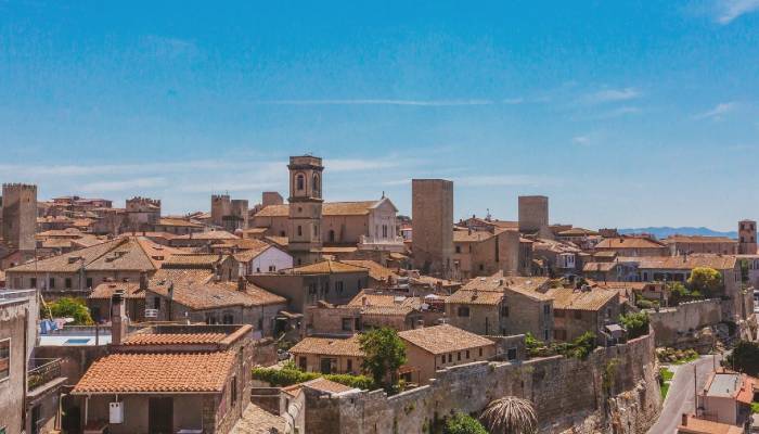 Cerco avvocato civilista Tarquinia foto