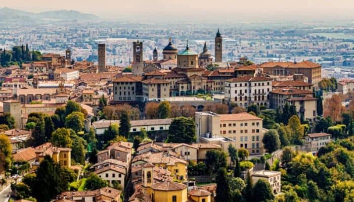 Cerco giardiniere Bergamo foto