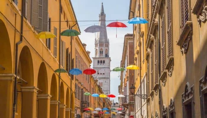 Cerco giardiniere Modena foto