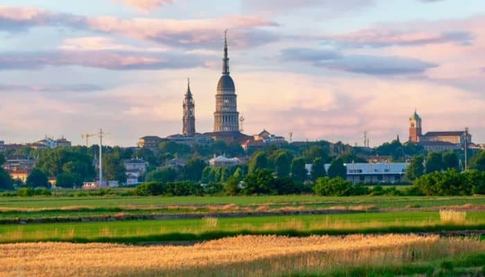 Cerco giardiniere Novara foto