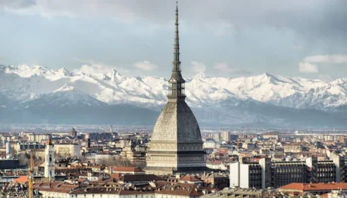 Cerco giardiniere Torino foto