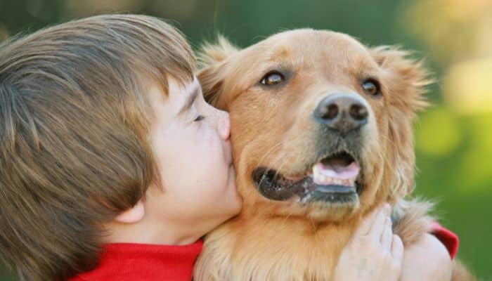 Leggi che tutelano gli animali Diritto in difesa degli animali